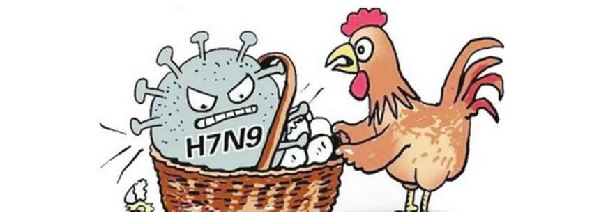 河北承德宽城人预防H7N9禽流感的防控方法